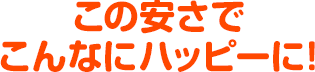 ワンコインでこんなにハッピーに！